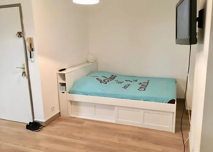 Appartement Chaleureux - Centre Poitiers